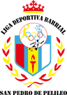 Liga Deportiva Barrial San Pedro de Pelileo